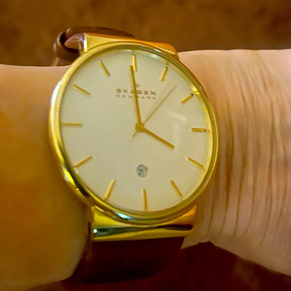 Skagen Gold-Tone Watch with Brown Strap